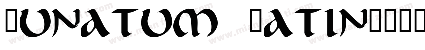 Qunatum Latin字体转换